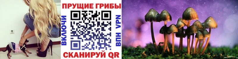 Галлюциногенные грибы Psilocybine cubensis Кисловодск