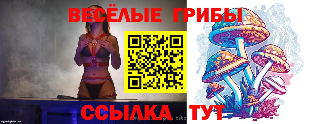 Псилоцибиновые грибы мухоморы  Вход с VPN  Кисловодск 