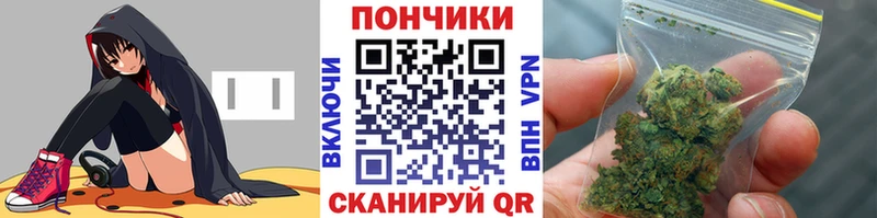где можно купить наркотик  Кисловодск  ссылка на мегу ссылка  МАРИХУАНА Amnesia 